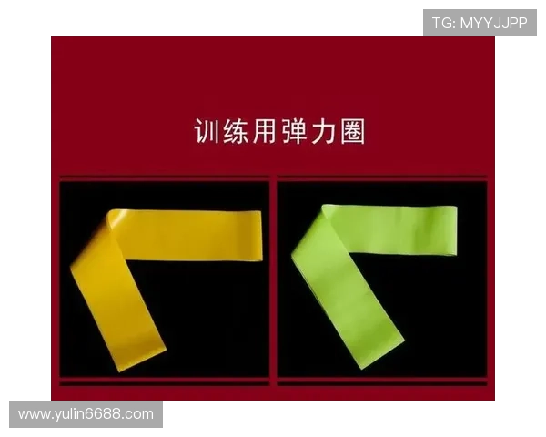 上海羽毛球队耐力训练的深度剖析与发展探讨 上海羽毛球队耐力训练的深度剖析与发展探讨