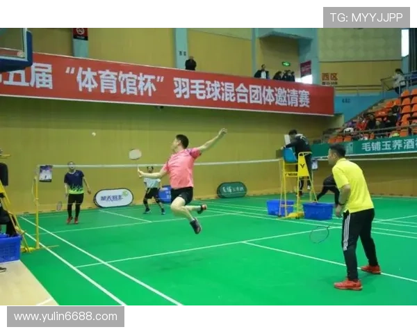 上海羽毛球队在精英赛中的速度表现分析与评价 上海羽毛球队在精英赛中的速度表现分析与评价