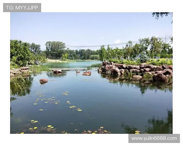 与王娜畅谈她的网球生涯与奋斗历程中的点滴故事