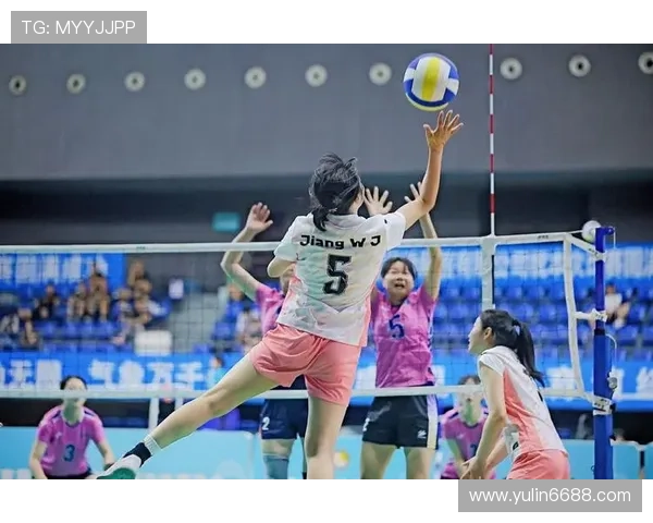 专业解读:成都排球队的运营打法 专业解读:成都排球队的运营打法