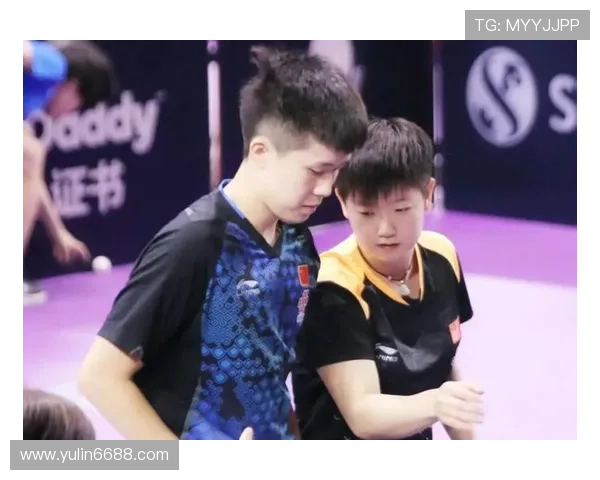 乒乓球的韵律探秘：西安乒乓球队训练与比赛的节奏解析