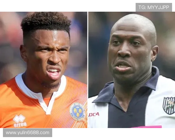 为何对足球明星的光环不感冒探讨背后的原因与思考