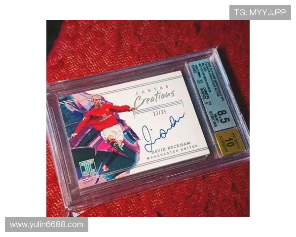 保护壳足球明星卡的魅力与收藏价值探讨与市场前景分析 保护壳足球明星卡的魅力与收藏价值探讨与市场前景分析