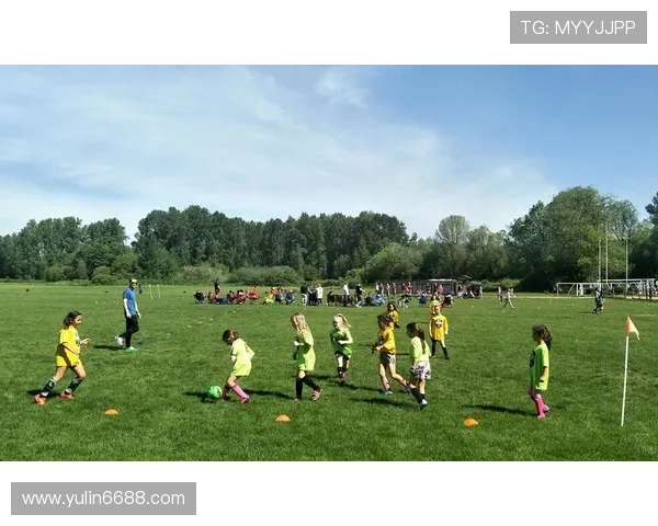 从绿茵场到监狱:那些曾经辉煌却误入歧途的足球明星故事 从绿茵场到监狱:那些曾经辉煌却误入歧途的足球明星故事