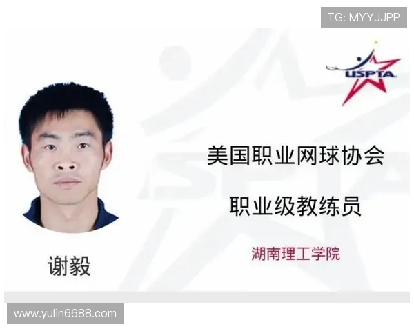 南京网球队的进攻体系与网球战术的深度解析与应用探讨